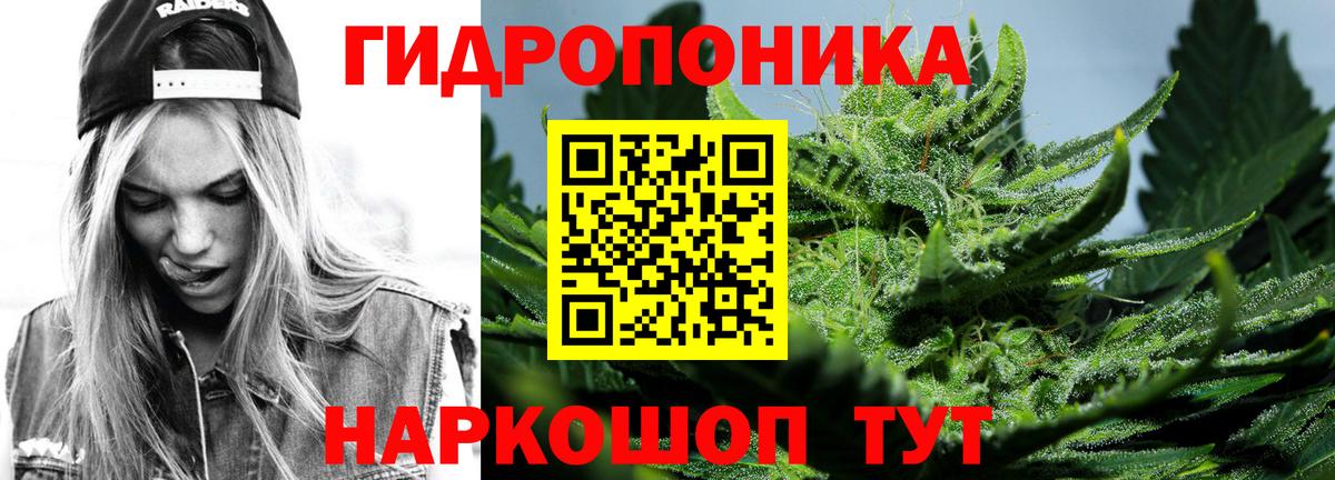 Бошки Шишки VHQ  Бошки Шишки индика  Вход с VPN  Сунжа  Канабис гибрид 
